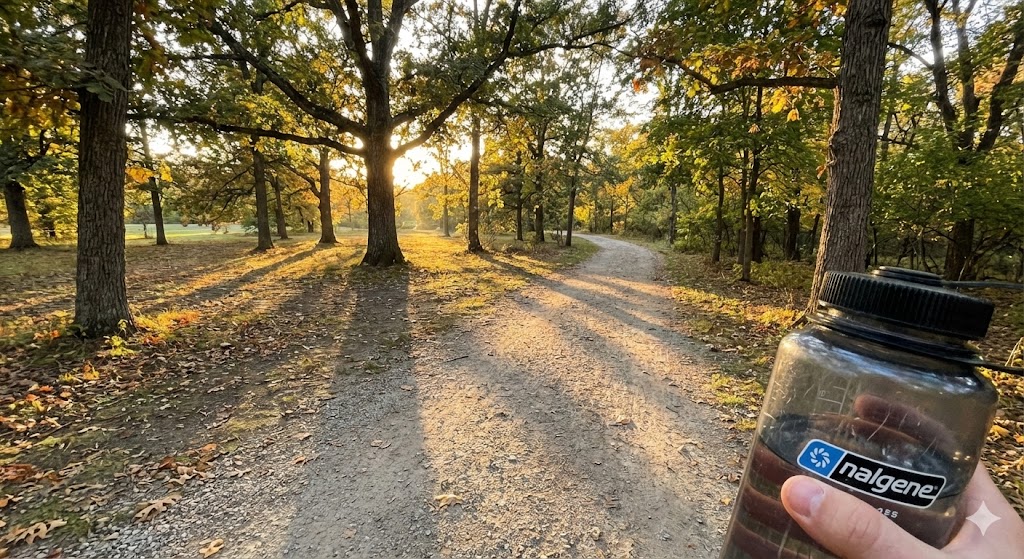 Layla N. - Parent (USA)